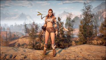 Skimpy Nora Protector Armor