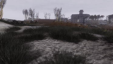 4K Lookout Swampscape