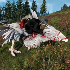 Albino Chocobo