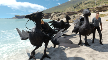Lucian Black Chocobo