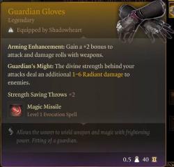 Legendary Guardian Armour