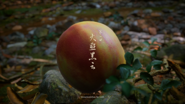 AMD CAS Preset and Color