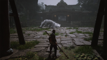 Fix Tint and Exposure