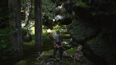 Remove Annoying Effects